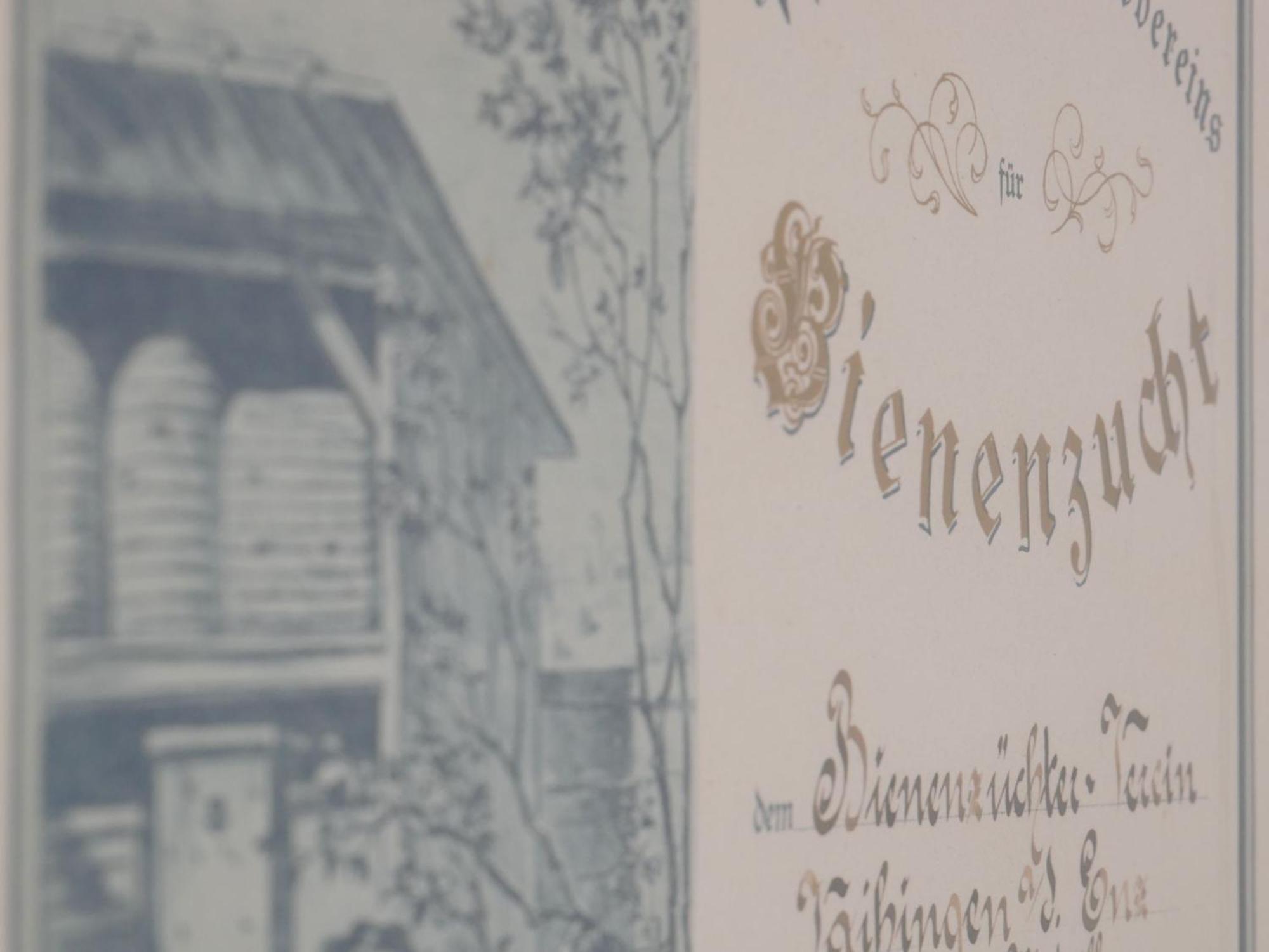 Ferienwohnungen Knodel ザクセンハイム エクステリア 写真