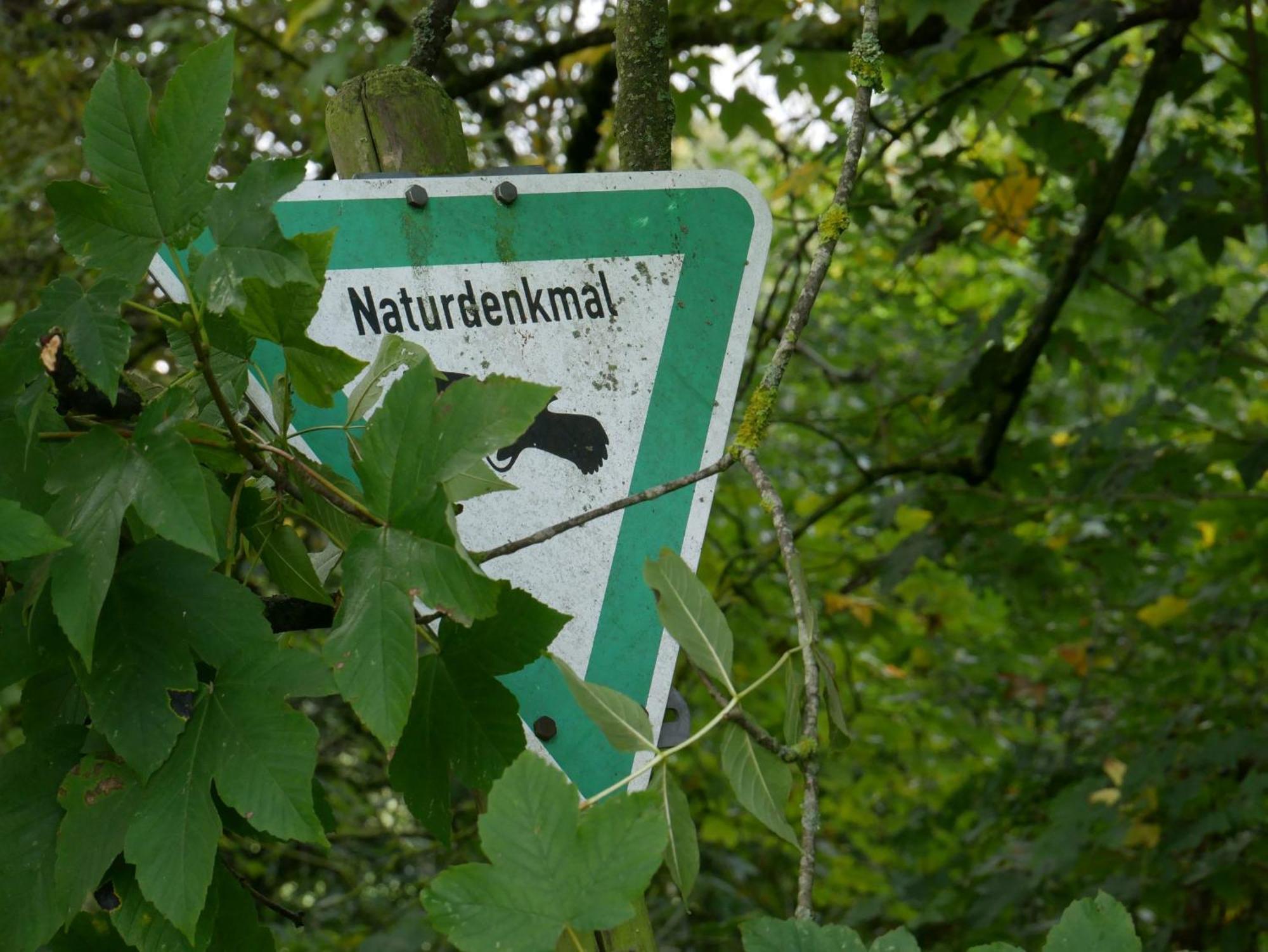 Ferienwohnungen Knodel ザクセンハイム エクステリア 写真